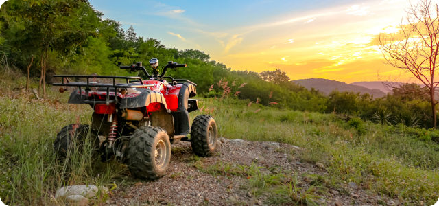 ATV parked in green area during sunset